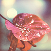 呼死你在线使用